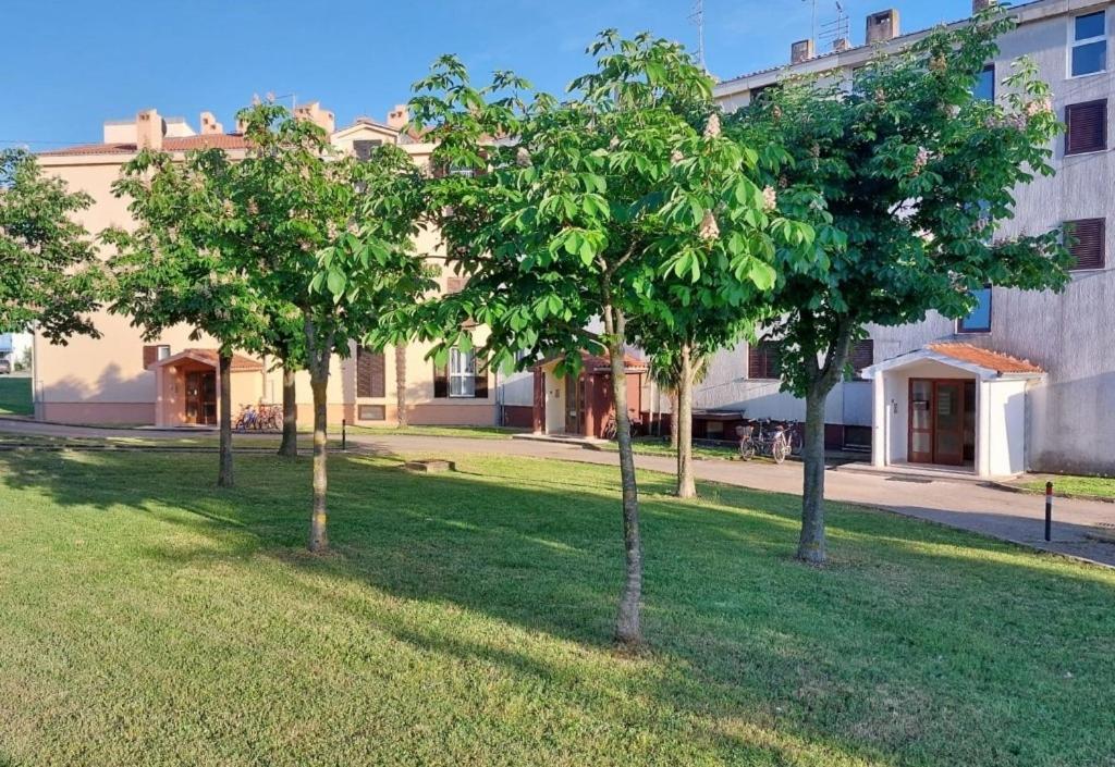 Stefan 1 Apartment Умаг Екстериор снимка